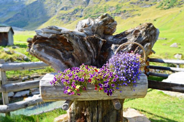 L'estate in montagna