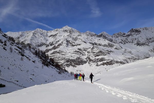 Skitouren-Schnuppertage für Anfänger
