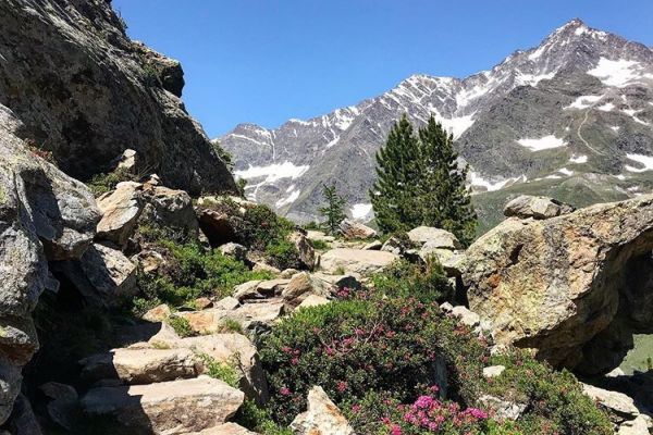 "Tempo per voi" - giorni romantici al Rosmarie