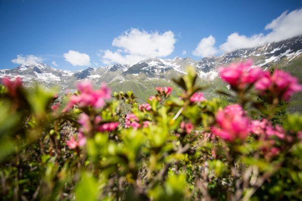 Sommerbeginn in den Bergen