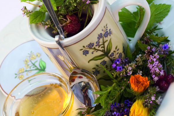 Sogno di erbe e fiori montagnari