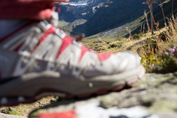 Über Stock und Stein - der Pfeldererhof lädt ein