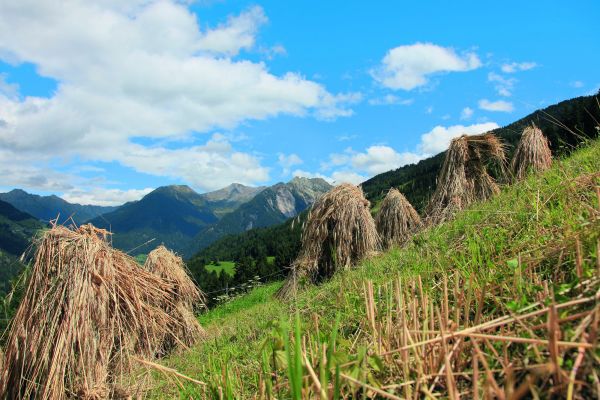 Berg &amp; Landschaft Frühling - Sommer