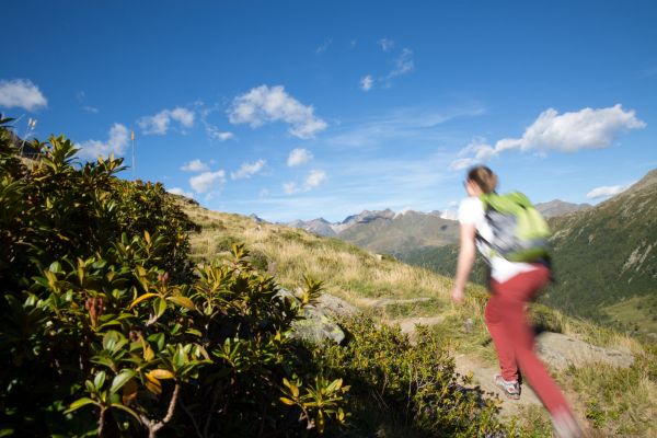 Sport &amp; Freizeitaktivitäten Sommer