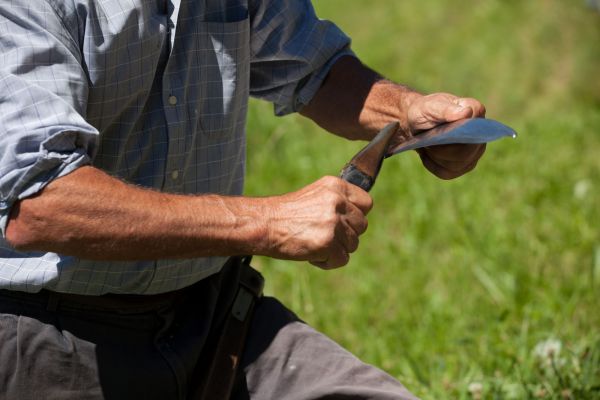 Kultur &amp; Tradition