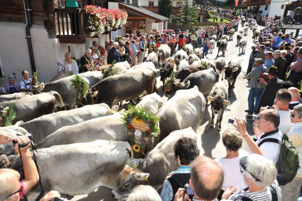 Kultur &amp; Tradition