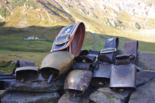 Kultur &amp; Tradition