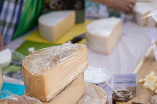 Veranstaltungen &amp; Highlights